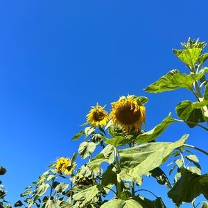 Most items on sale!! Send offers